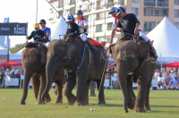 Pictures from 2017 King's Cup Elephant Polo in Bangkok, Thailand.