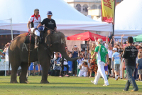 Pictures from 2017 King's Cup Elephant Polo in Bangkok, Thailand.