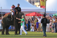 Pictures from 2017 King's Cup Elephant Polo in Bangkok, Thailand.