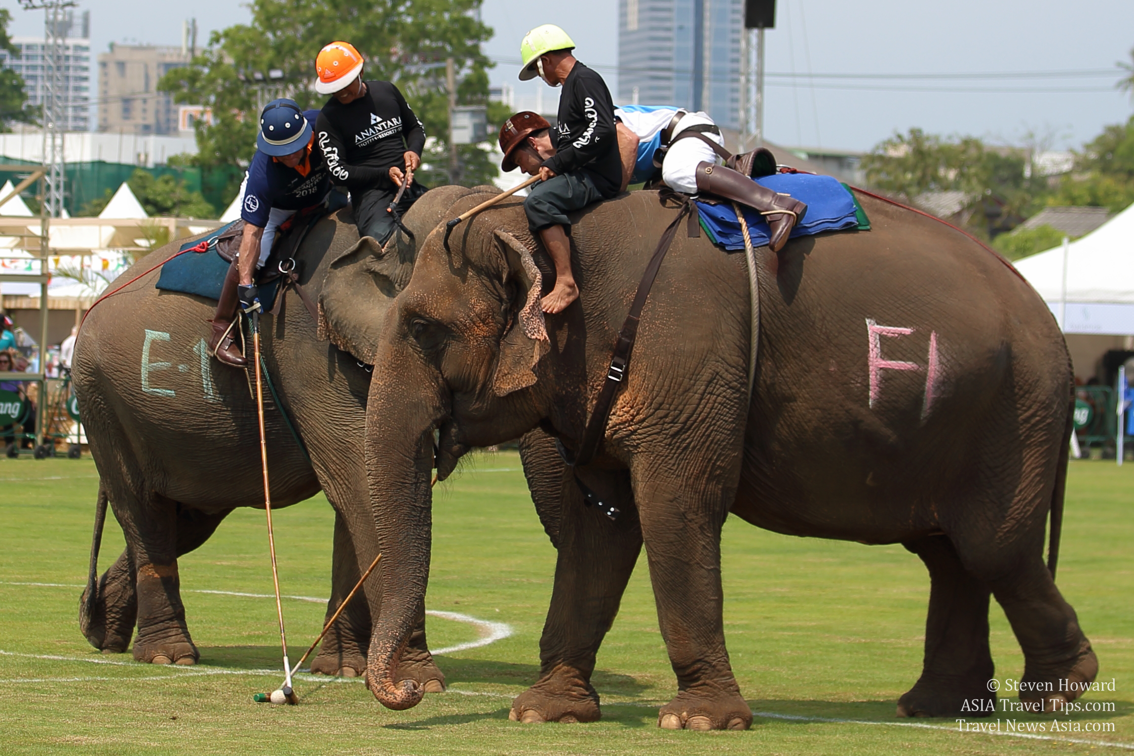 Pictures from 2018 King's Cup Elephant Polo in Bangkok, Thailand.