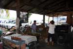 Pictures of the Floating Market near Bangkok