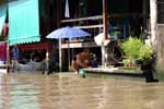 Pictures of the Floating Market near Bangkok