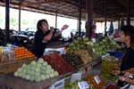 Pictures of the Floating Market near Bangkok