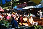 Pictures of the Floating Market near Bangkok