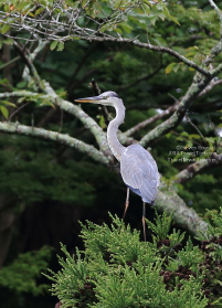 Pictures from Shinchi and Soma in Fukushima, Japan (September 2016)