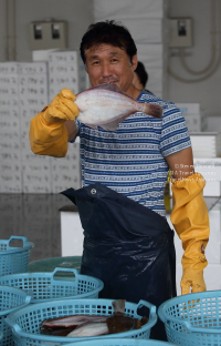 Pictures from Shinchi and Soma in Fukushima, Japan (September 2016)