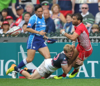 Pictures from 2014 Cathay Pacific / HSBC Hong Kong Sevens