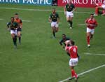 Pictures of the Hong Kong Rugby Sevens 2007 - click to enlarge to high resolution