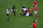 Pictures of the Hong Kong Rugby Sevens 2007 - click to enlarge to high resolution