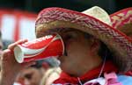 Pictures of the 2008 Hong Kong Rugby Sevens - click to enlarge to large size high resolution (opens in a new window)