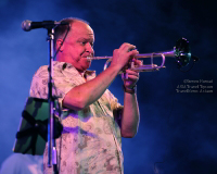 Pictures of Hua Hin Jazz Festival 2014 (Thailand)