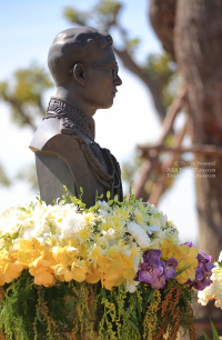 Pictures of a special rice cutting ceremony in Ku Ka Sing, Roi-Et, in honour of HM the late King Bhumibol Adulyadej of Thailand (November 2016)