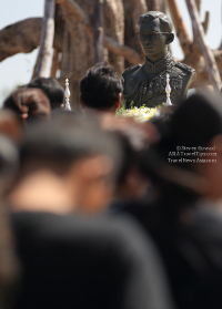 Pictures of a special rice cutting ceremony in Ku Ka Sing, Roi-Et, in honour of HM the late King Bhumibol Adulyadej of Thailand (November 2016)