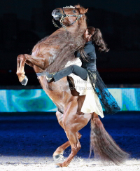 Pictures of the 2013 Longines Hong Kong Masters