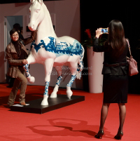 Pictures of the 2013 Longines Hong Kong Masters