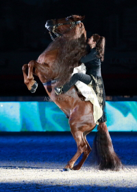 Pictures of the 2013 Longines Hong Kong Masters