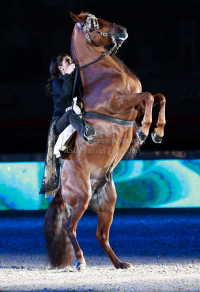 Pictures of the 2013 Longines Hong Kong Masters