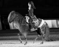 Pictures of the 2013 Longines Hong Kong Masters