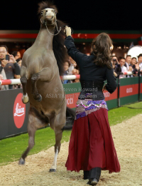 Pictures of the 2013 Longines Hong Kong Masters