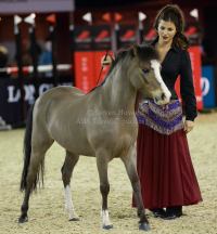 Pictures of the 2013 Longines Hong Kong Masters