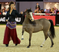 Pictures of the 2013 Longines Hong Kong Masters