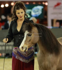 Pictures of the 2013 Longines Hong Kong Masters