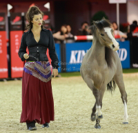 Pictures of the 2013 Longines Hong Kong Masters