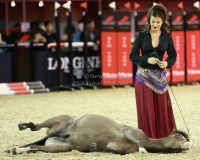 Pictures of the 2013 Longines Hong Kong Masters