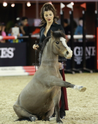 Pictures of the 2013 Longines Hong Kong Masters