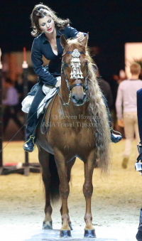 Pictures of the 2013 Longines Hong Kong Masters