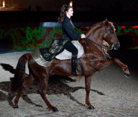 Pictures of the 2013 Longines Hong Kong Masters