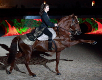 Pictures of the 2013 Longines Hong Kong Masters