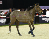 Pictures of the 2013 Longines Hong Kong Masters