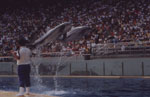 Pictures of Ocean Park Hong Kong