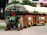 Pictures of Farm Chokchai in Nakhon Ratchasima, Thailand - click on image for large version which opens in a new window / tab