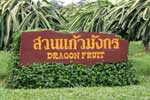 Pictures of Farm Chokchai in Nakhon Ratchasima, Thailand - click on image for large version which opens in a new window / tab