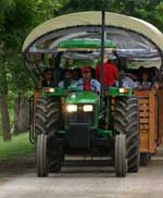 Pictures of Farm Chokchai in Nakhon Ratchasima, Thailand - click on image for large version which opens in a new window / tab