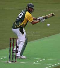 Pictures of Karp Group Hong Kong Cricket Sixes 2012