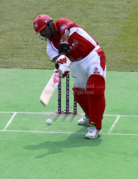 Pictures of Karp Group Hong Kong Cricket Sixes 2012