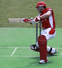 Pictures of Karp Group Hong Kong Cricket Sixes 2012