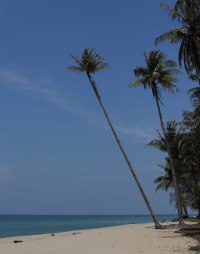 Pictures of Terengganu, Malaysia (2014)