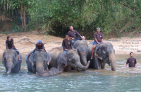 Pictures of Terengganu, Malaysia (2014)