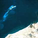 This first satellite photo of The Palm, Jebel Ali reveals the Crescent breaking the water. Also clearly visible in the photo is the shape of the fronds as they are formed underneath the sea.