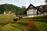 The Lakehouse  Cameron Highlands