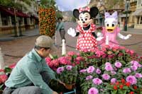 Hong Kong Disneyland is Blooming Lovely this Chinese New Year
