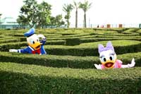 Donald Duck and Daisy