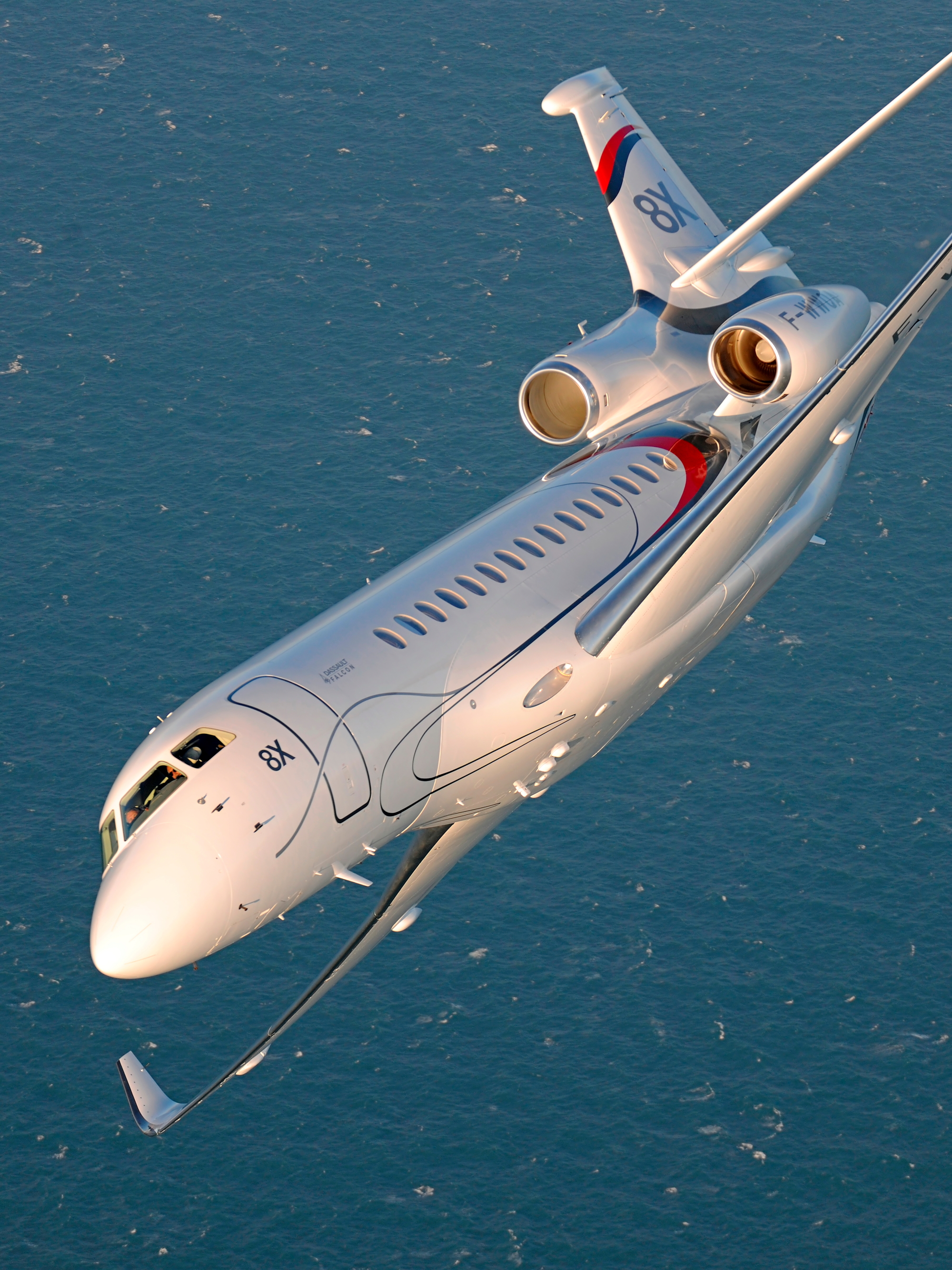 Dassault Falcon 8X. Click to enlarge.