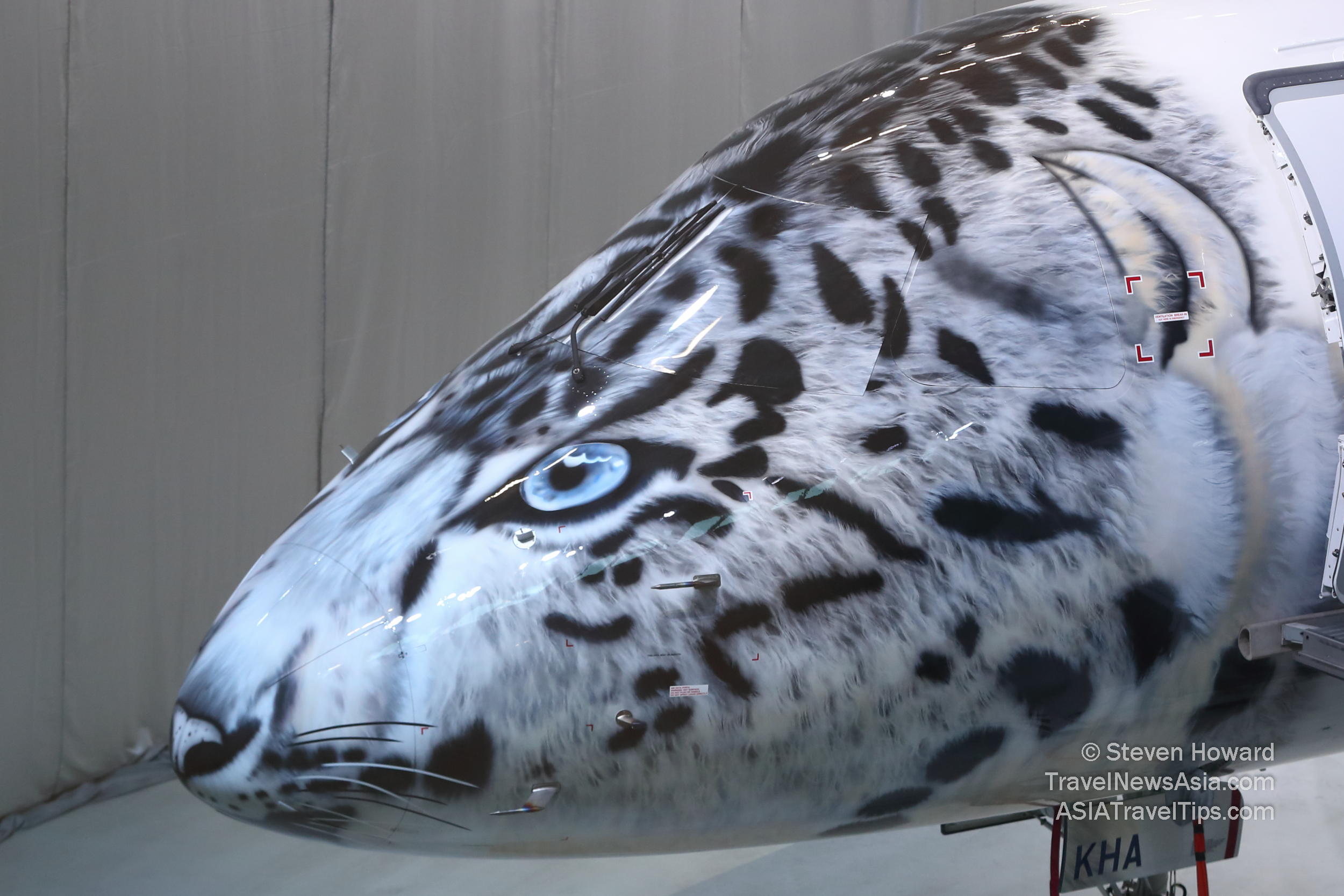 Snow leopard nose of an Air Astana Embraer E190-E2. Picture by Steven Howard of TravelNewsAsia.com Click to enlarge.