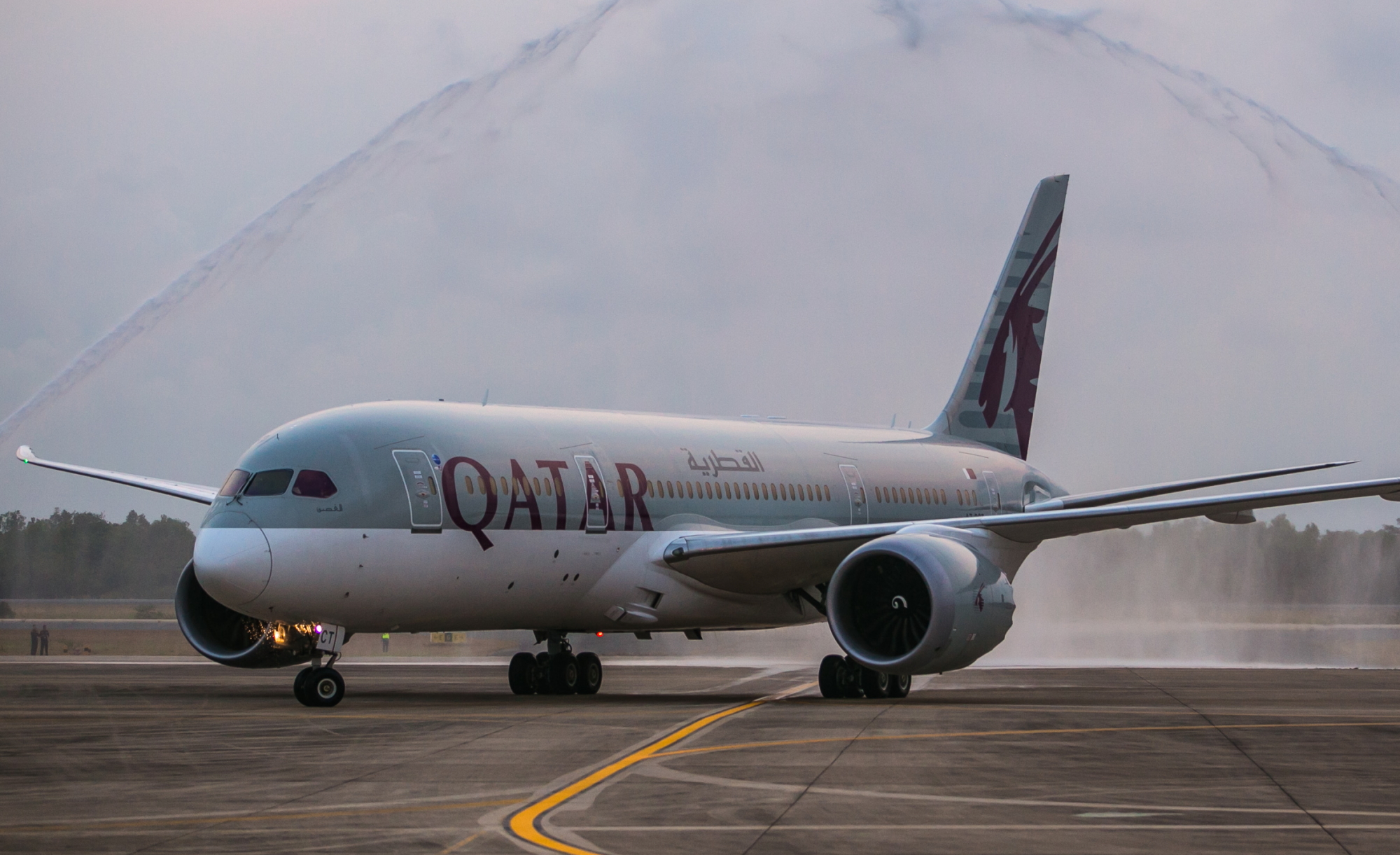 Qatar Airways arriving in Pattaya (U-Tapao), Thailand. Click to enlarge.