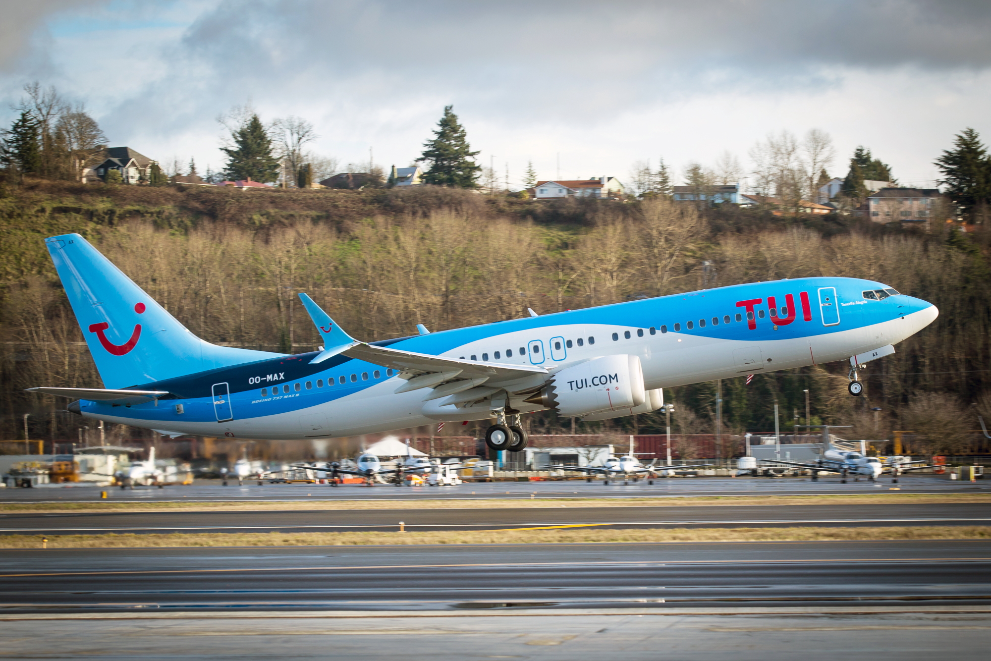 TUI Group Boeing 737 MAX 8. Click to enlarge.